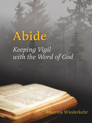 cover image of Abide